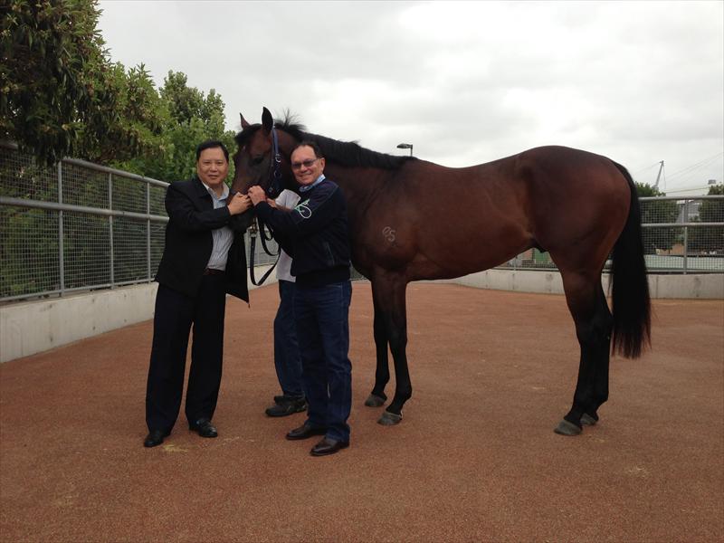 International Trainer Gary Moore kicks off new Australian Stables with